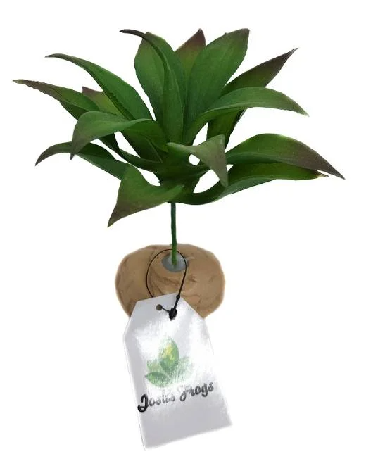 Josh's Frogs Artificial Rosette Plant