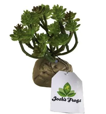 Josh's Frogs Artificial Succulent Bunch
