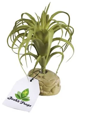 Josh's Frogs Artificial Tillandsia