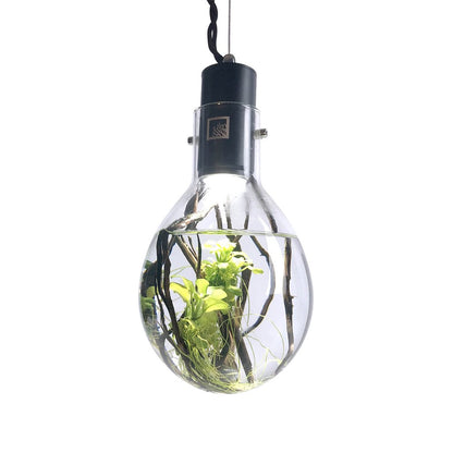 SR Aquaristik Hanging Luminarium Aquarium