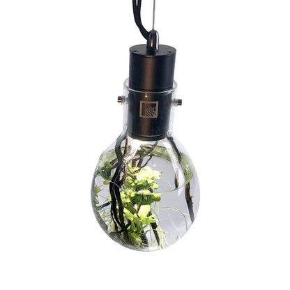 SR Aquaristik Hanging Luminarium Aquarium