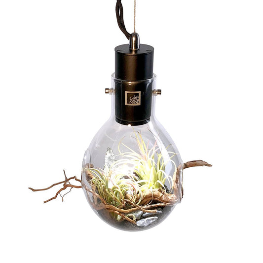 SR Aquaristik Hanging Luminarium Terrarium