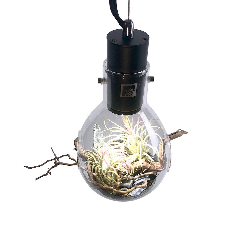 SR Aquaristik Hanging Luminarium Terrarium