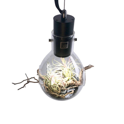 SR Aquaristik Hanging Luminarium Terrarium