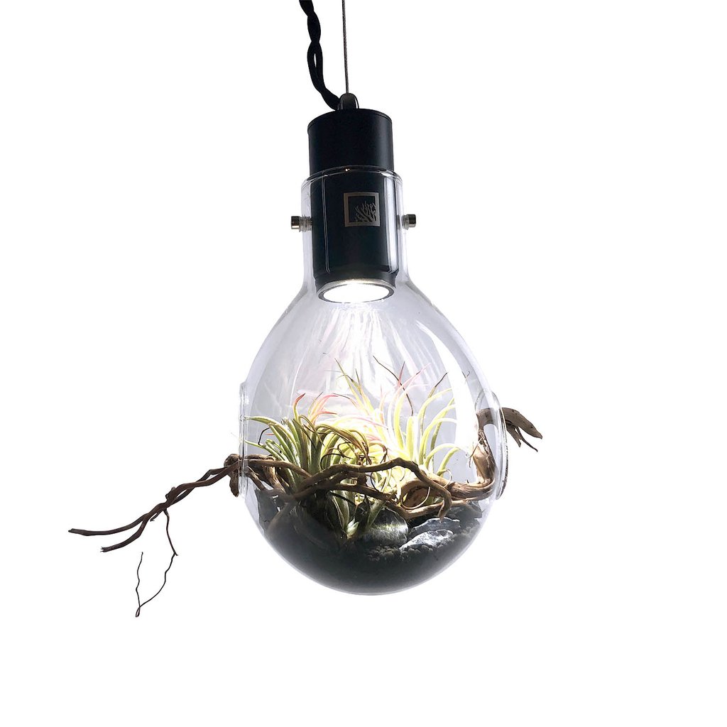 SR Aquaristik Hanging Luminarium Terrarium