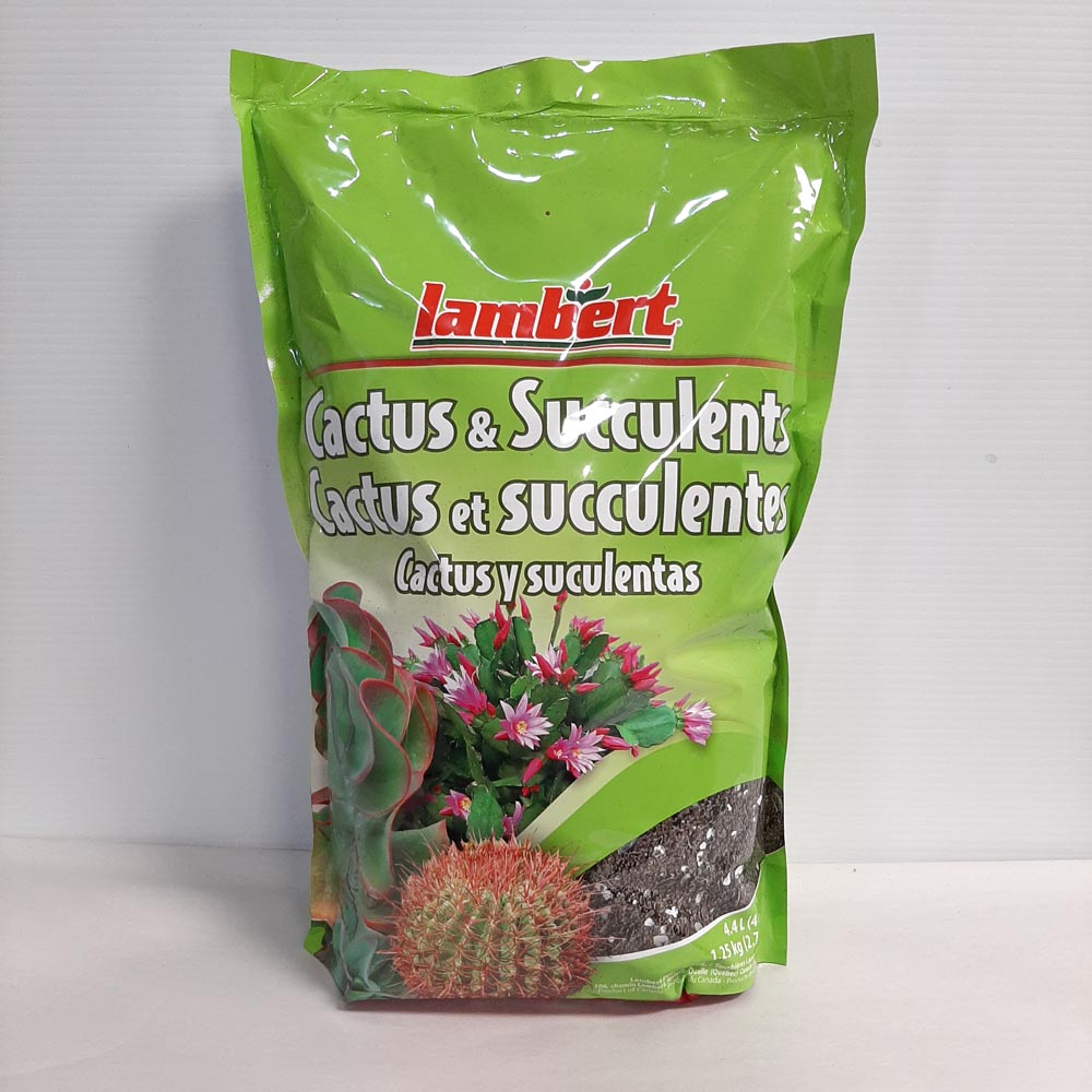 CACTUS & SUCCULENT MIX