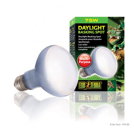 75w Daylight Basking Spot Lamp Exo Terra