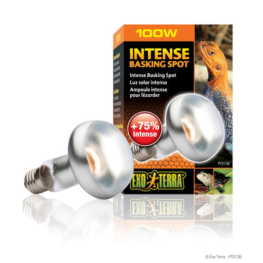 100w Intense Basking Spot Exo Terra