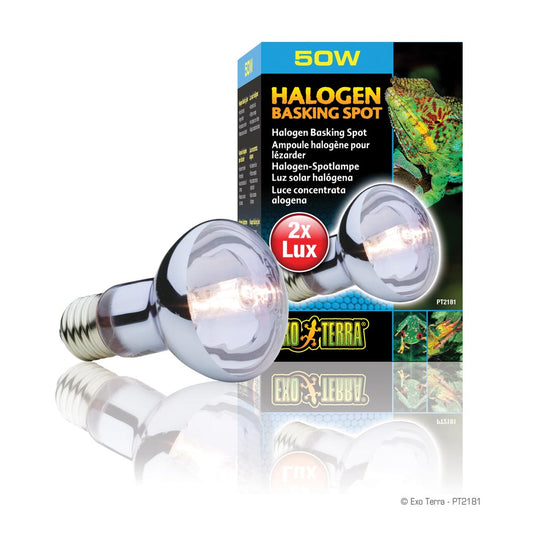 50w Halogen Basking Spot - Exo Terra