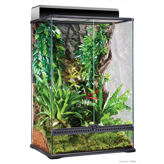 Exo Terra Advanced Paludarium & Rainforest Terrarium - Medium -  (24" x 18" x 36")