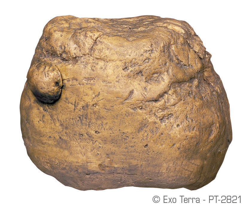 Exo Terra Feeding Rock Cricket Feeder