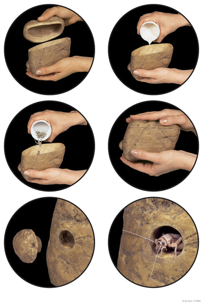 Exo Terra Feeding Rock Cricket Feeder