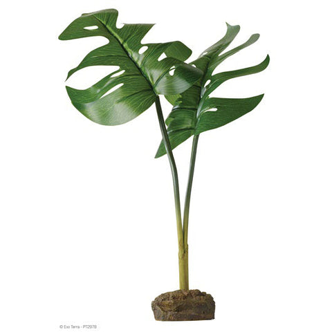 SMART TREE FROG PLANT PHILODENDRON  EXO TERRA