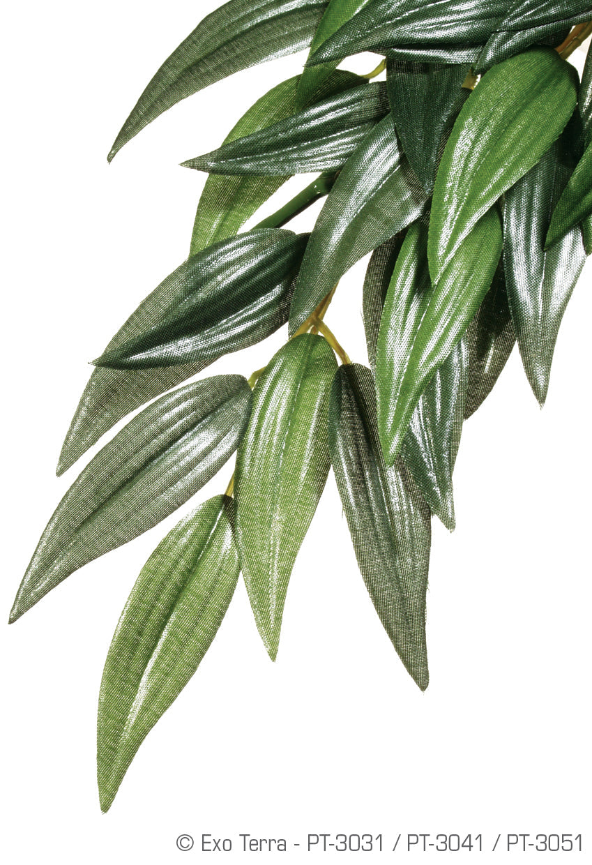 RUSCUS SILK HANGING RAINFOREST PLANTS LARGE EXO TERRA