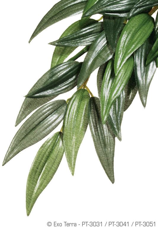 Exo Terra Silk Plant Med Ruscus