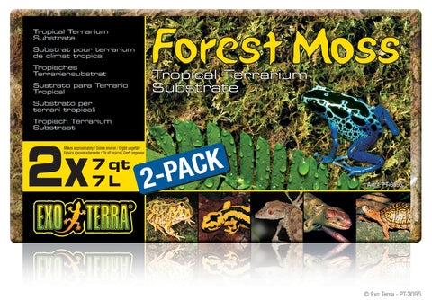 Forest Plume Moss 500g Exo Terra