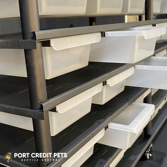 R60 RACK – REPTILE 5 LEVEL 30 BIN COMPLETE SYSTEM