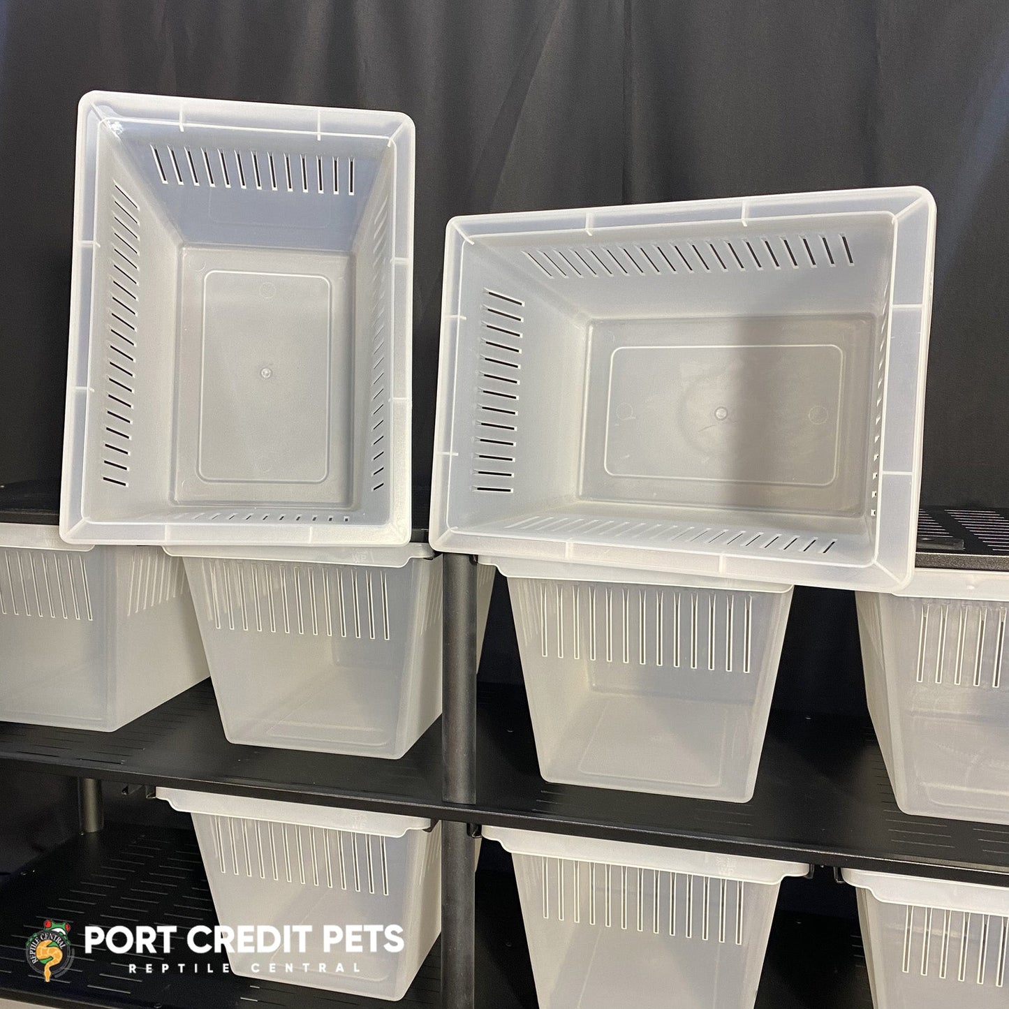 R88 RACK – ARBOREAL REPTILE 3 LEVEL 12 BIN COMPLETE SYSTEM