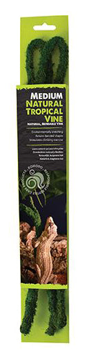 Natural Tropical Vine Large (1.8mx20mm)