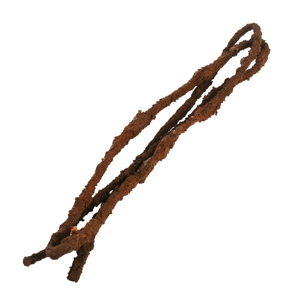 Tropical Vine Med (1.8mx10mm)