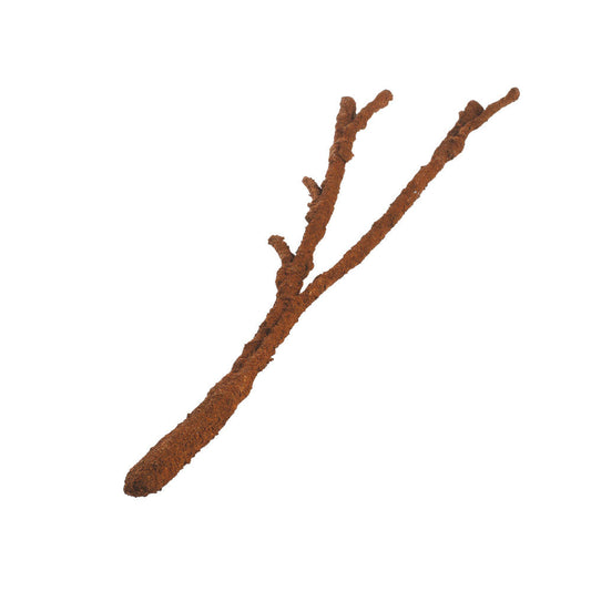 Tropical Vine Branch Small