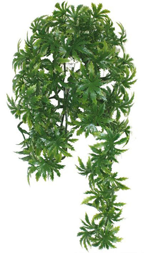 Papaya Leaf Vine 45cm