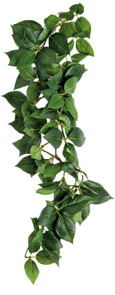 Sumatra Hanging Vine 23cm