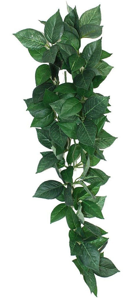 Sumatra Hanging Vine 40cm