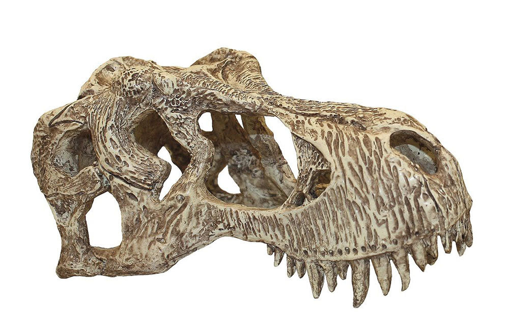 T-Rex Skull Small