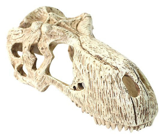 T-Rex Skull X-Large