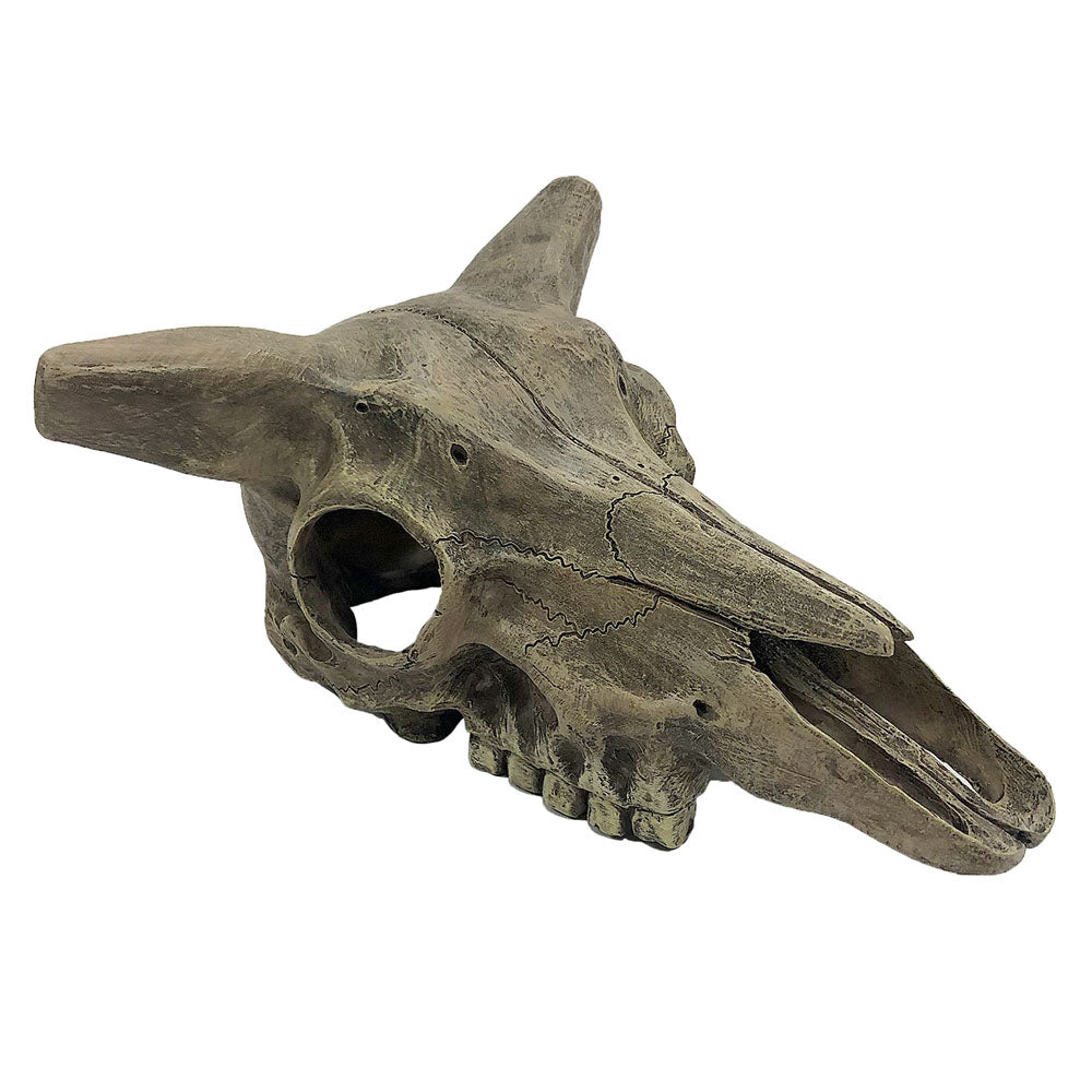 Deer Skull