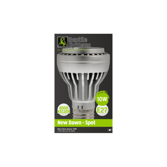 New Dawn Spot LED 6500k 10W