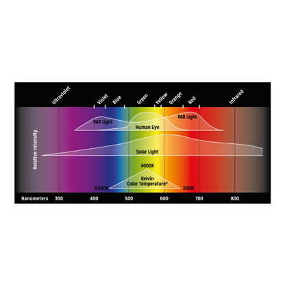 Proten LED New Dawn Terrarium Lamp (7-21W)