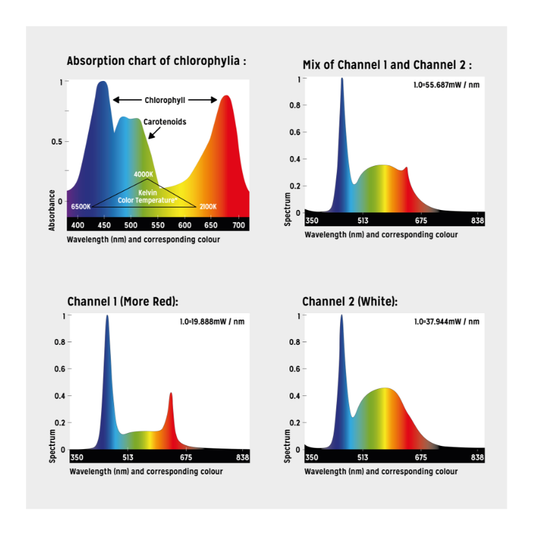 Proten LED New Dawn Terrarium Lamp (7-21W)