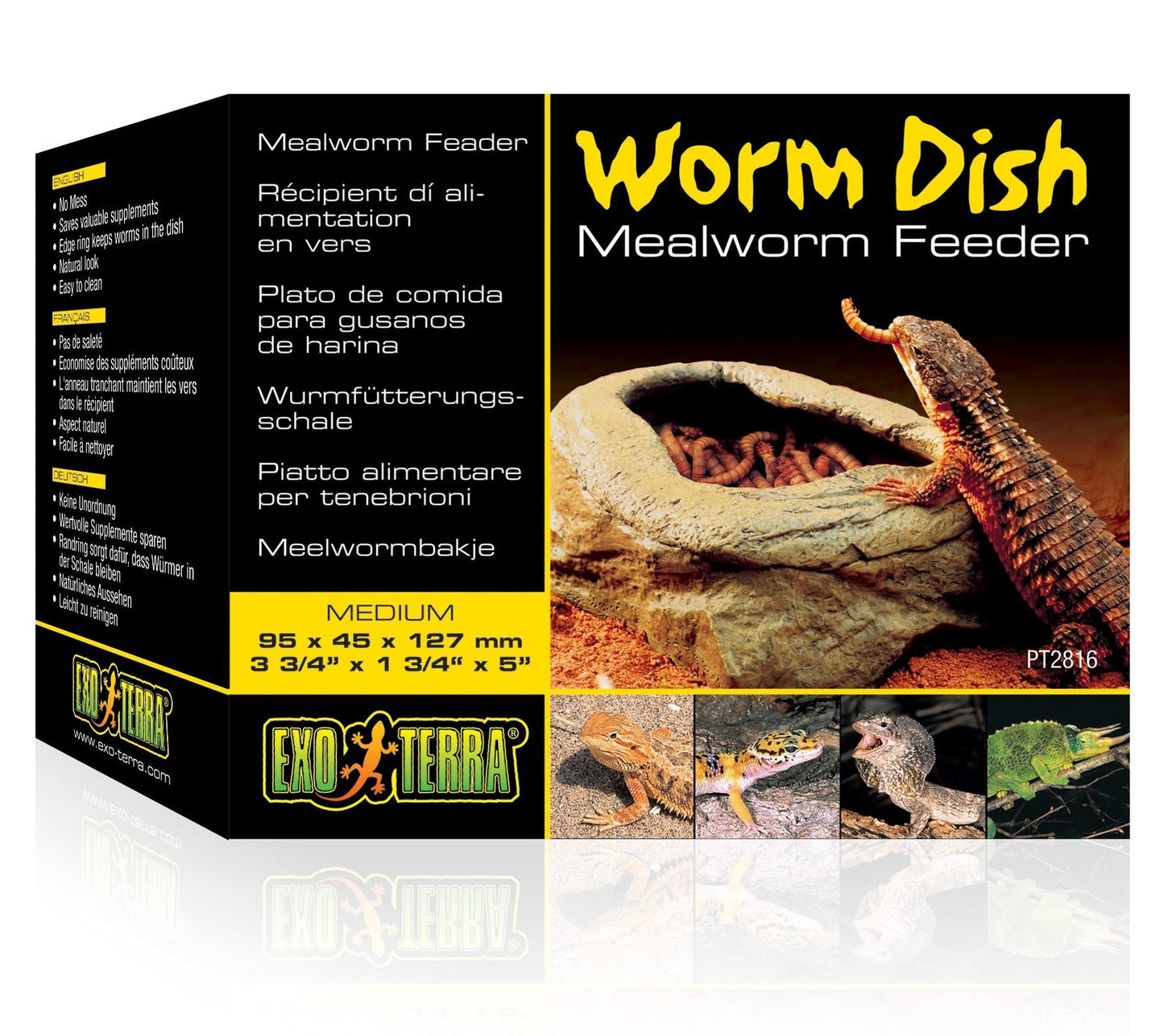 WORM DISH MEALWORM FEEDER Exo Terra Medium