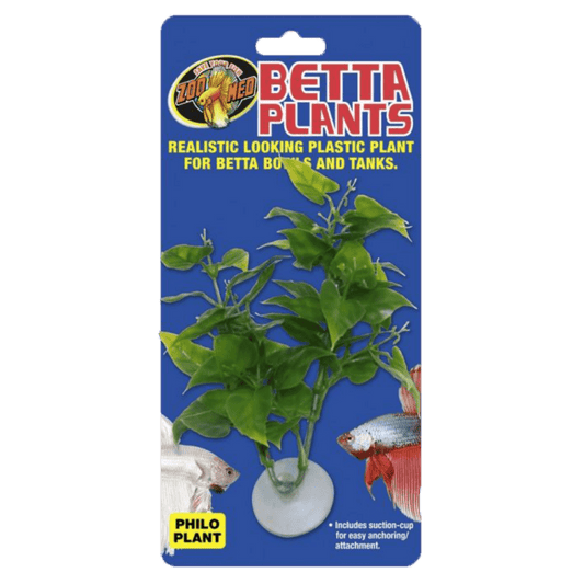 Betta Plant Philo - Zoo Med