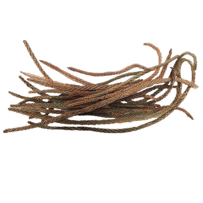 DRIED ARAUCARIA MIX SIZE LEAVES