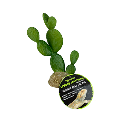 Komodo® Prickly Pear Cactus Plant Decoration
139-93322