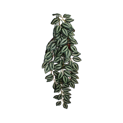 Zebrina Climbing Plant Medium 16" Plant Decoration