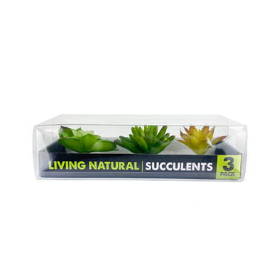 Succulents Yellow/Green Plant Decorations (3pk)