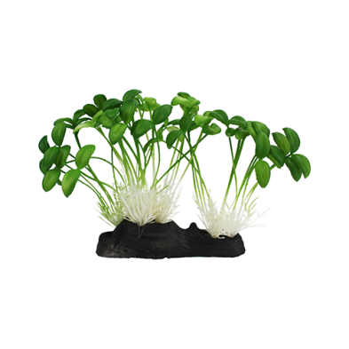 Komodo Sprouts Plant Decoration