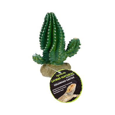 Columnar Cactus 5.9" Plant Decoration