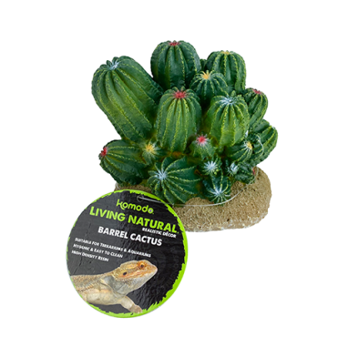 BARREL CACTUS PLANT DECORATION