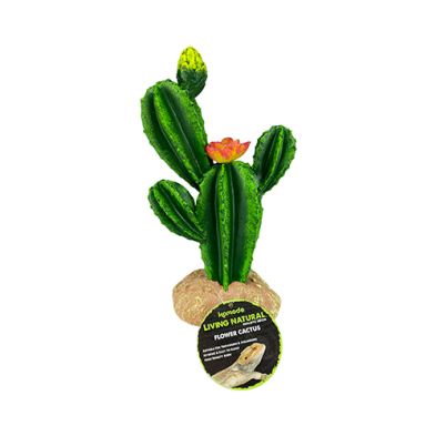 Komodo Flower Cactus 9" Plant Decoration