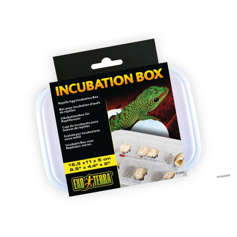 Incubation Box - Exo Terra