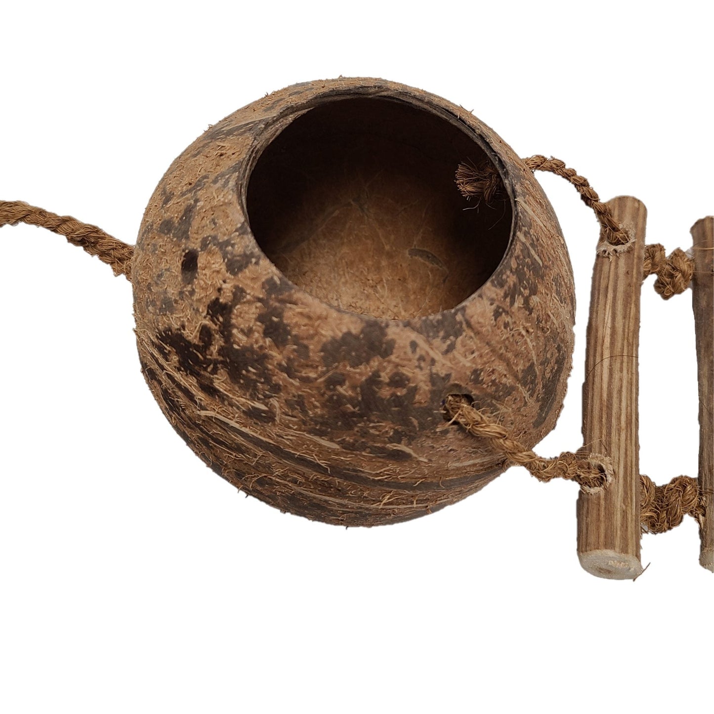 DOUBLE COCO SHELL NEST WITH LADDER