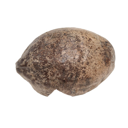 HALF COCONUT HIDEOUT