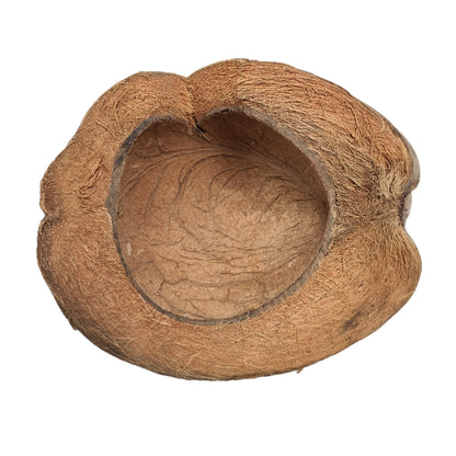 HALF COCONUT HIDEOUT