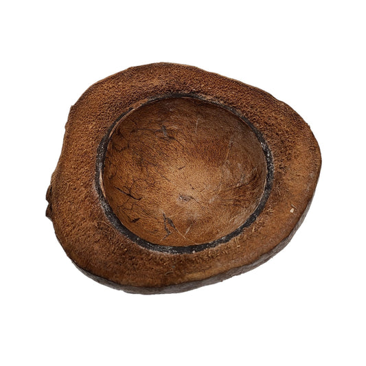 NATURAL HALF COCONUT BOWL