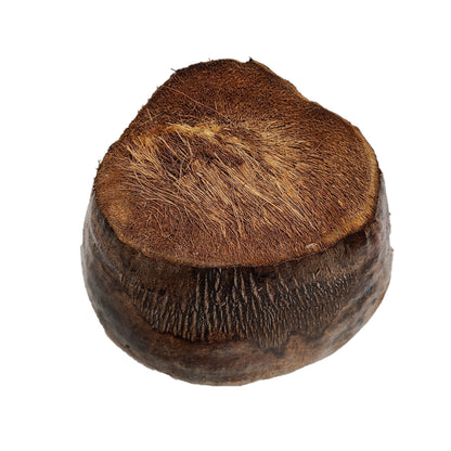 NATURAL HALF COCONUT BOWL